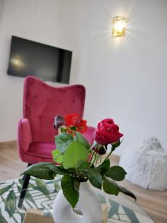 Le Paon du jour en Touraine - 5