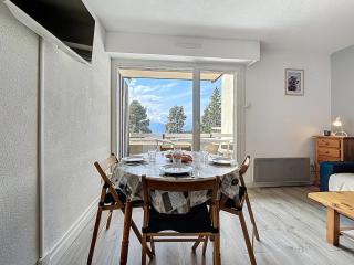 Le Zénith - Studio - cabine - Centre - Parking - 6