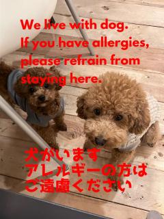 MOTORYOKAN Guesthouse & Cafe - 7