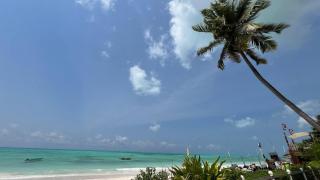 Island Nest- Wtop Rated Beach At Your Doorstep! - 4