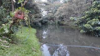 Cabaña AMOTO - 1