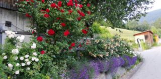 Katharinas Veganer Naturgasthof - 5