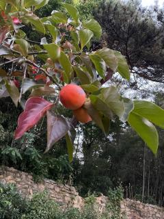 상주에 있는 예쁜 집 - 2