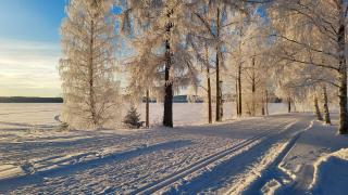 Saunallinen kaksio Sotkamon Keskuskadulla - 1
