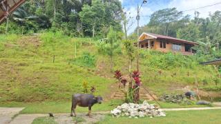 Kalembang Krenata homestay - 9