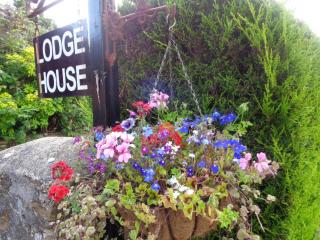 Lodge House B&B - Buckland St Mary - 2