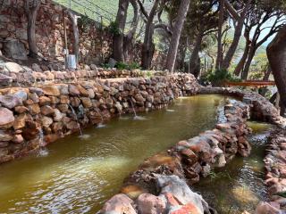 Muizenberg Gem 2BR Classic Elegance - 8