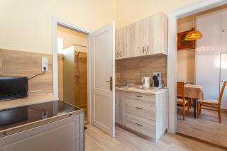 City apartman with piano - 0