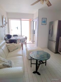 Superbe appartement T3 Vue Mer, terrasse avec Parking Privé 6ARAX17 - 5