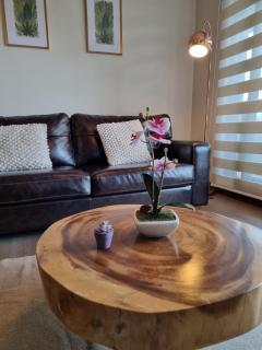 HOM I Depto 2D2B con vista parcial al lago - 4