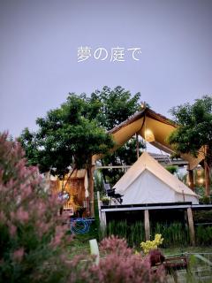 Safari Camping Type - 8