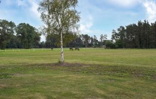 Awesome Home In Everöd With Wifi - 3