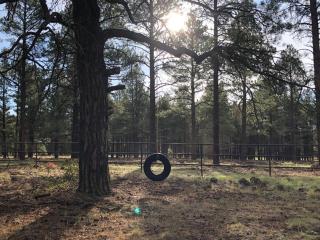 Historic Parks Ranch Cabin near Williams - 6