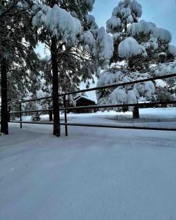 Historic Parks Ranch Cabin near Williams - 8