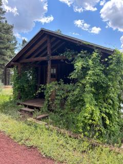 Historic Parks Ranch Cabin near Williams - 5