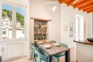 Timeless, Terre Marine - 8