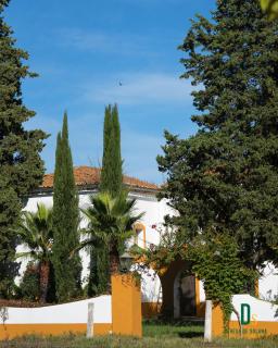Cortijo Negretti - 0