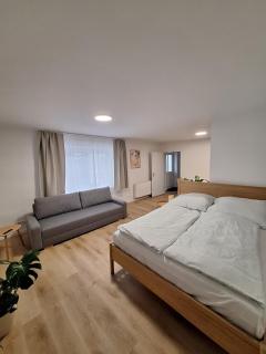 City Apartment - 4