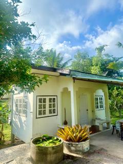 Wandee Resort Bankrut - 5