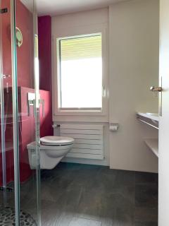 LaVida Star Alpine Hideaway in Gantrisch & Thun - 6