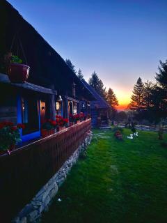 Căsuța Floarea Reginei - 9