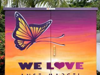 Superbe appartement 2 chambres à Anse Marcel, 400m des plages, activités nautiques incluses - FR-1-734-44 - 2