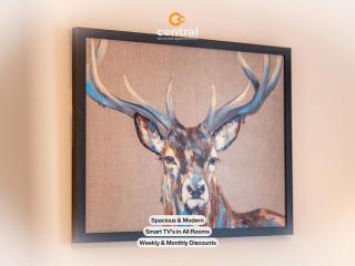 Bellfield - Walk away from Dundee University - 2 Bedrooms - 2 Bathrooms - 2 King Beds - Smart TVs - Fully Equipped - Parking - Close to City Centre - CENTRAL SERVICED APARTMENTS x CENTRAL SHORT LETS - 7