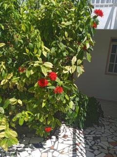 Les jardins de VALENTIN - 3