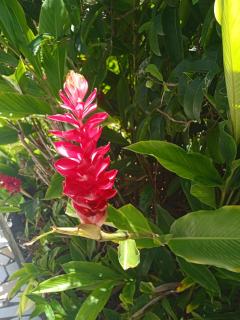 Les jardins de VALENTIN - 2