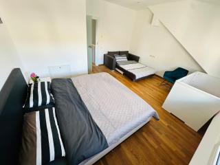Große 2 Ferienwohnung Gästehaus NEUBAU Merzig 100 m2 - 1