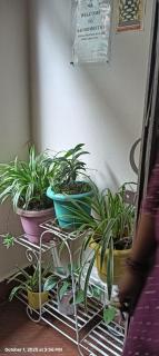 SAI Guest House at Gangtok Taxi Stand - 5