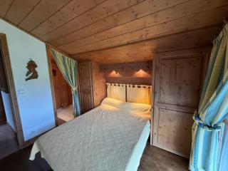 Superbe appartement 4 pièces avec cheminée, 6 pers, Wifi - Les Saisies - FR-1-293-304 - 1