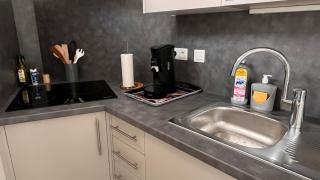 Le Léonard 100 m Château d'Amboise-4p-Rated 3 ETOILES - 9