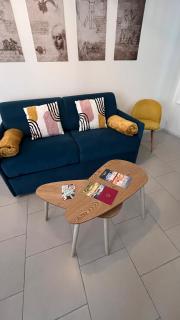 Le Léonard 100 m Château d'Amboise-4p-Rated 3 ETOILES - 7