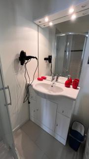 Le Léonard 100 m Château d'Amboise-4p-Rated 3 ETOILES - 6