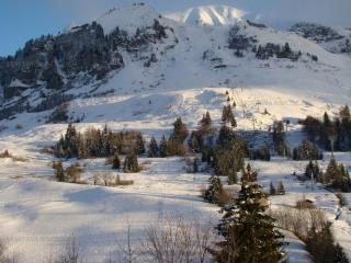 Confortable studio savoyard, balcon sud, parking - FR-1-458-213 - 4