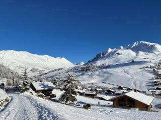 Confortable studio savoyard, balcon sud, parking - FR-1-458-213 - 1