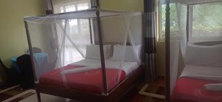 ROSEVILLA HOTEL Limited - 4
