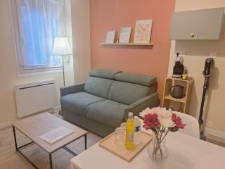 Charmant T2- Besançon hyper centre - 0