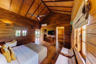 Cinnamon Wild Yala - 1