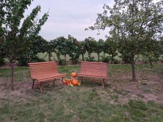 HutiFeri apartman - Siófok - 7