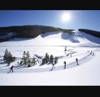 Relaxation in a Tiny House - 1