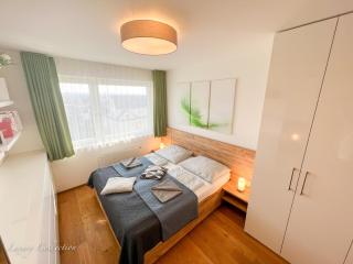 Incredible Luxury Apt with Garage and Tram Station - 9