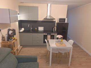 Charmant T2- Besançon hyper centre - 7