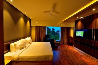 The Fern Residency Udaipur - 9