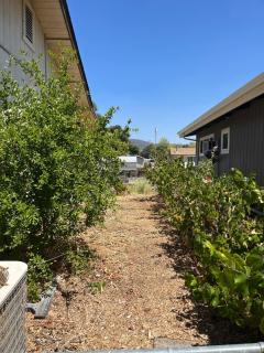 Cozy lake home with indoor fireplace & dock - 4