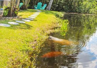 Bring Snacks and Relax! Waterfront, Heated pool, Cribs, Pets, Rods, BBQ - 1