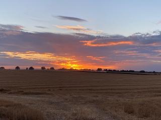 The Saddlehouse at Wykeham - Biscathorpe - 9