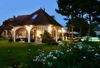 Les Prémices De La Forêt - 0