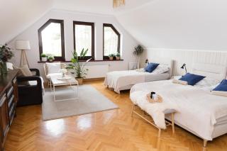 Willa na skraju lasu Fox - MAZURY - 7